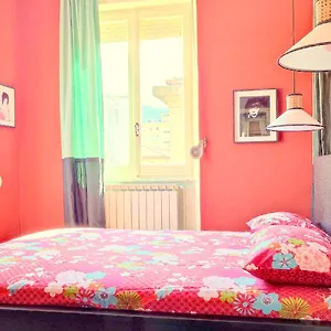 Jolie Guest house
